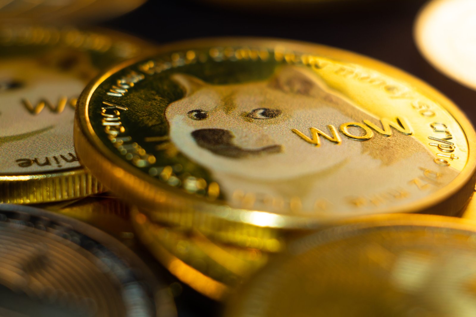 Dogecoin’s Future in 2025: Should You Act Now?