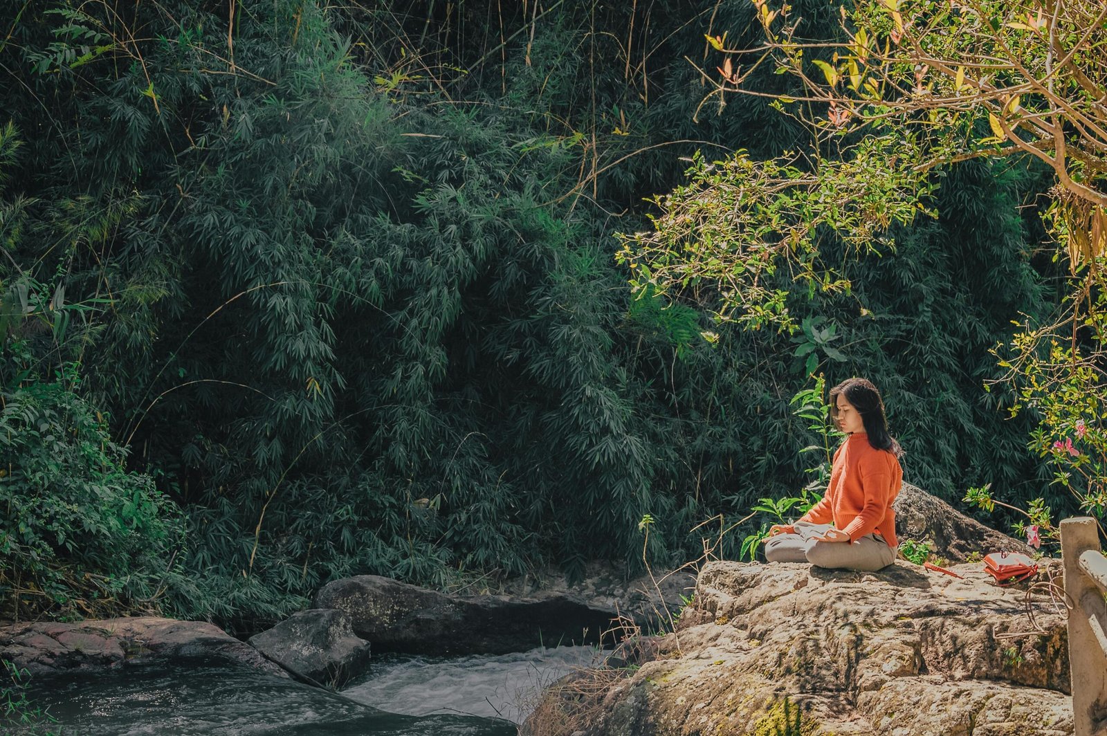 Empower Your 2025 Fitness Journey with Yoga & Meditation