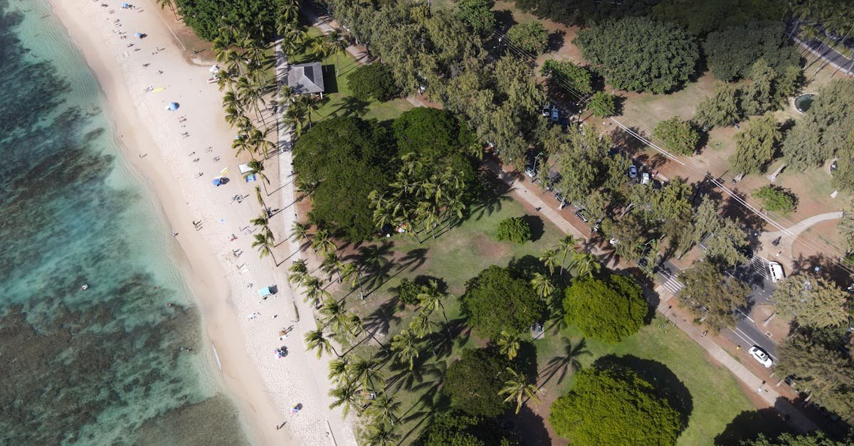 Island Beach State Park 2025: Best Powerful Things to Do & See